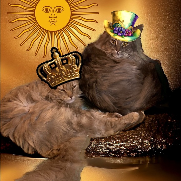 Meet your Posher, Sara - Picture 8 of 8